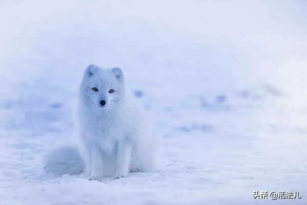 今日四九，一年中最冷的時節，暖通身體3個部位，讓你老得慢一點