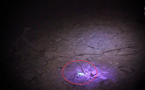 這就是世界上最熱的地方:平均溫度60度,汗水剛出來就變成鹽巴 這就是世界上最熱的地方:平均溫度60度,汗水剛出來就變成鹽巴