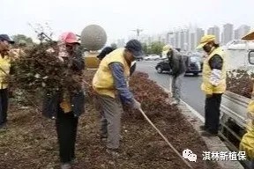 秋冬季節“大掃除”，清病原，滅蟲患