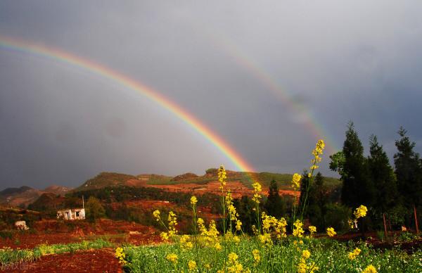 隨筆：想開點，壞事也許是好事