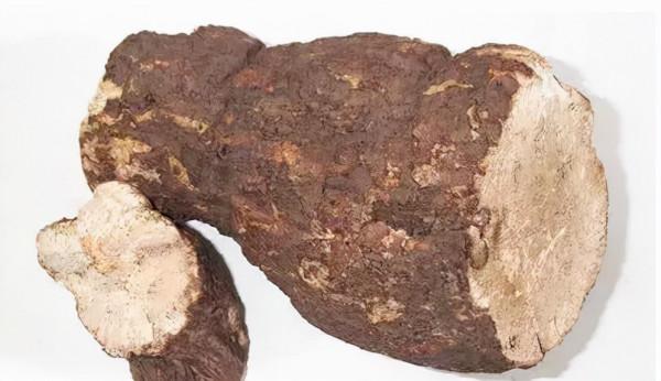 祛溼界的扛把子——茯苓 到底該怎麼用? 祛溼界的扛把子——茯苓 到底該怎麼用?