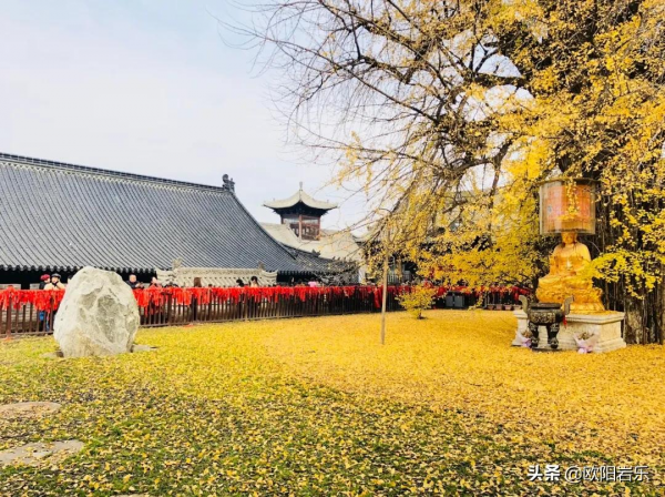 秋去秋來！中國最美的12個地方，你去過幾個？