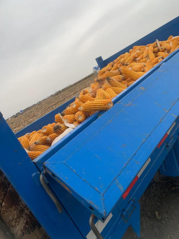 蘋果手機真的便宜嗎? 蘋果手機真的便宜嗎?