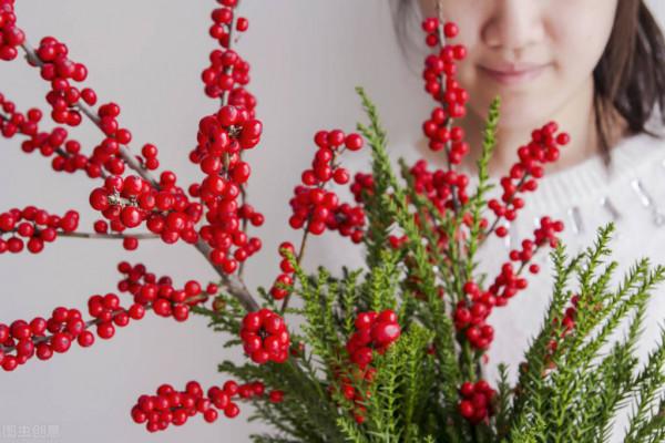 庭院耐寒“5寶”，不想冬天院子裡光禿禿，就種它們