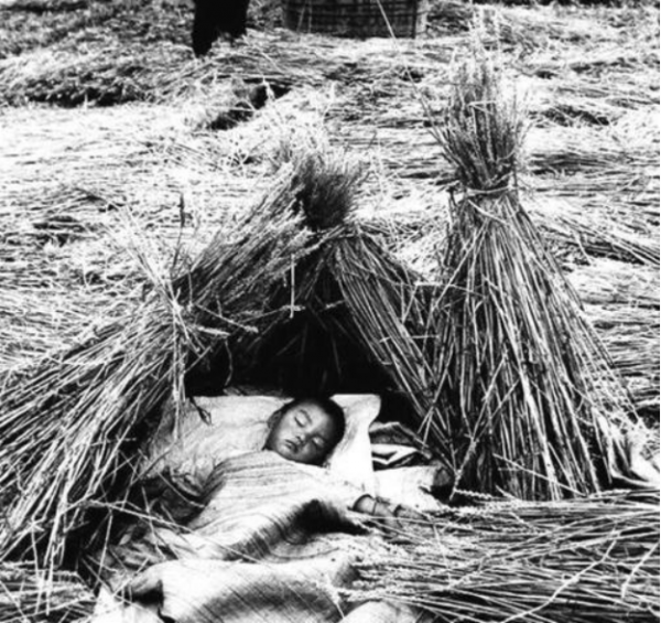 “襄陽趙一曼”：一生3次改名，遭石灰粉燻蒸，20歲竟被剜肉而死