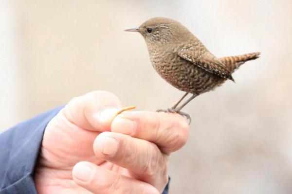 淵源共生，和諧共融