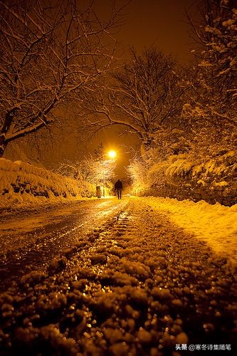 《夜歸人》寒冬原創
