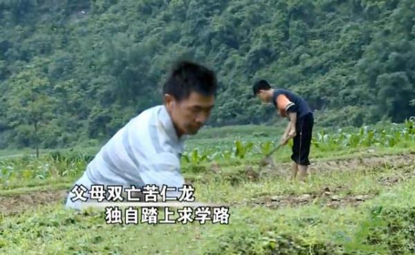 堅強孤兒韋仁龍:父母雙亡,靠挖野菜生活,父母墳前發誓好好學習 堅強孤兒韋仁龍:父母雙亡,靠挖野菜生活,父母墳前發誓好好學習