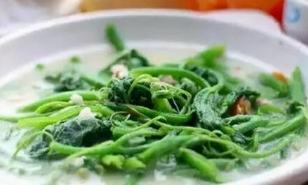 有人認為農村人常吃的南瓜藤，會給身體帶來危害，是真的嗎？