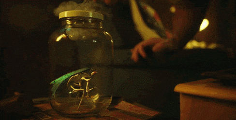 8&period;9！荷爾蒙爆棚，HBO這新劇靠譜