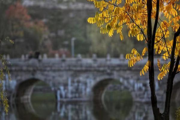 「視覺陝西」長安公園賞秋色 「視覺陝西」長安公園賞秋色