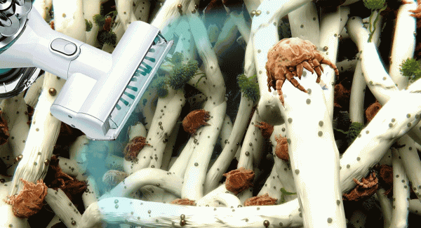 建議大家：被網紅吹捧的9件家居用品，件件雞肋，全是智商稅