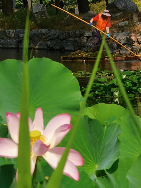 步入圓明園西區 皇帝的寢室