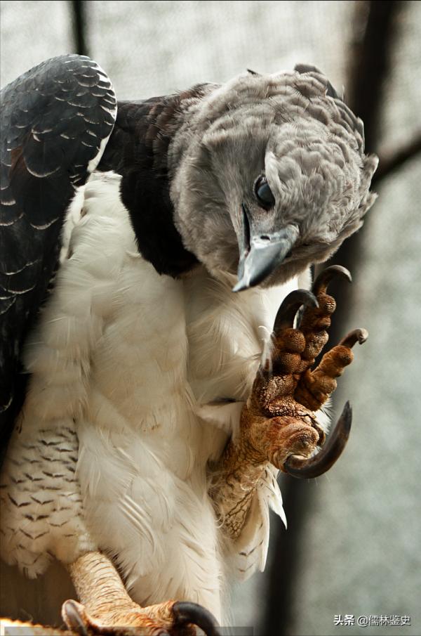 這才是哥倫比亞,南美洲一顆璀璨的星 這才是哥倫比亞,南美洲一顆璀璨的星