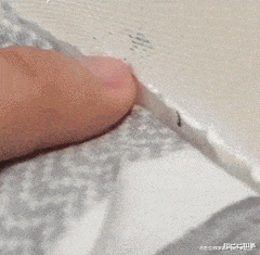 為什麼貓科動物都喜歡這個動作? 為什麼貓科動物都喜歡這個動作?