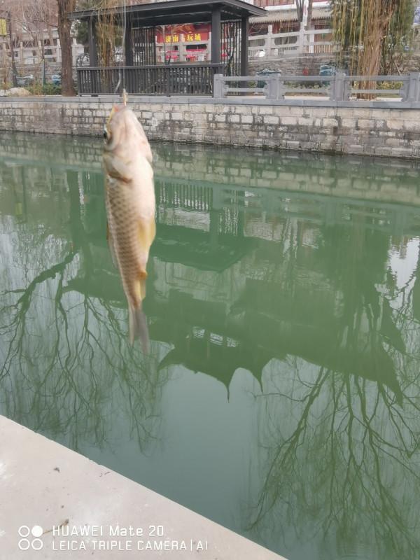 與小雜魚鬥智鬥勇,拼比毅力和耐性 與小雜魚鬥智鬥勇,拼比毅力和耐性