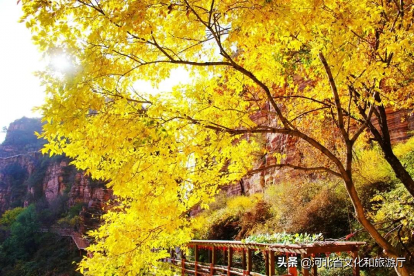 四季美景內卷天花板，必是東太行！