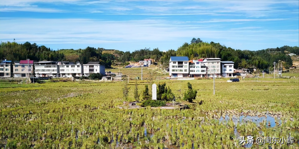 福建農村發現鴨子墓,傳說引起各大家族相爭,到底怎麼回事 福建農村發現鴨子墓,傳說引起各大家族相爭,到底怎麼回事