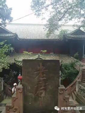 上山，山上——老君山遊