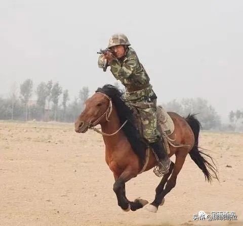 宇文秘:戰友相會在蒲城 宇文秘:戰友相會在蒲城