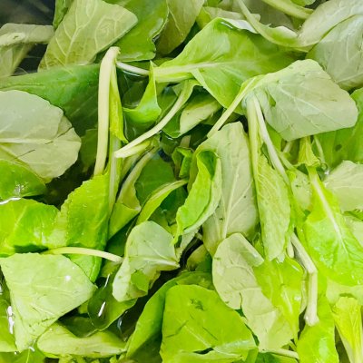 好吃到舔盤的減脂蔬菜湯，吃一次就上癮