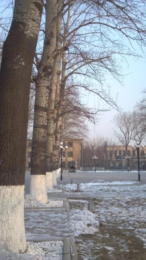 北方的冬天美景和美食 北方的冬天美景和美食