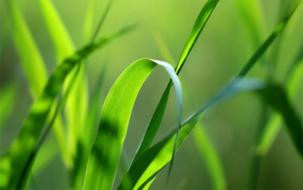 一個家庭過得是否幸福，看看廚房就知道了