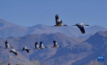 鏡觀中國·新華社國內新聞照片一週精選