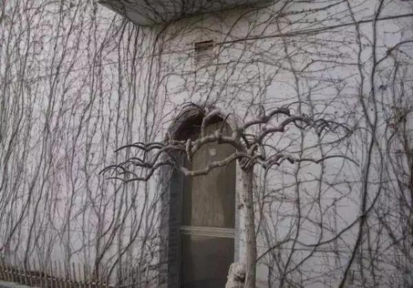 中國頂級私人博物館