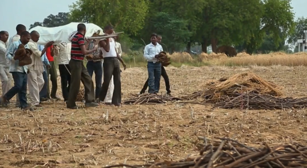 印度奇葩喪宴，為了面子請客2500人，結果揹負高額債務