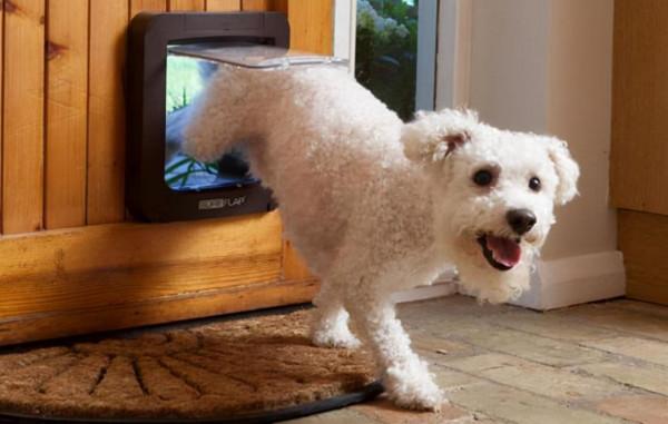 去閨蜜家參觀之後，看著自己的家就陷入沉思，真的後悔房子裝早了