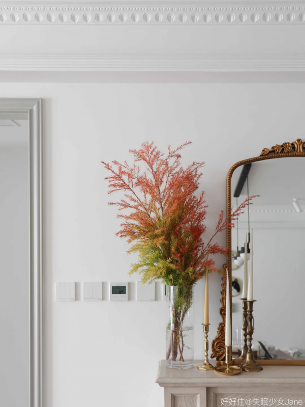 自帶年味!9種春節必備植物,現在買還來得及 自帶年味!9種春節必備植物,現在買還來得及