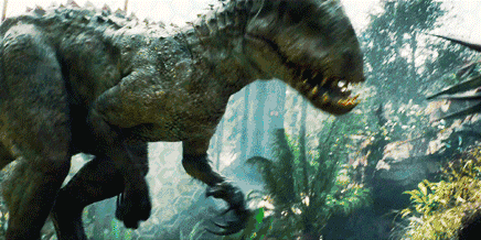 野生動物也會雜交，繁殖出的後代有多慘？動物雜交是否該被禁止？