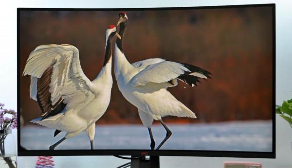 顯示器真香系列：HKC SG32QC，144Hz高刷+1500R曲率，親測它的魅力