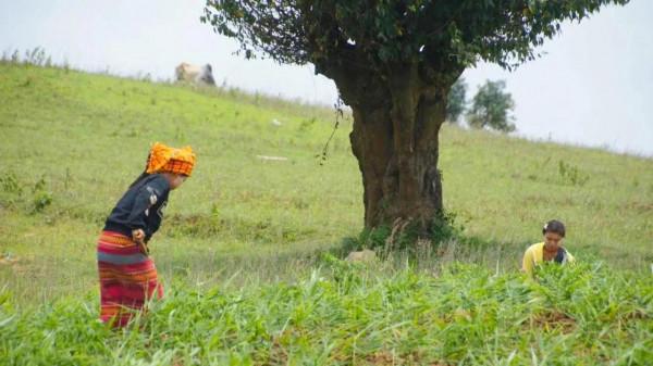 兩個女教師在緬甸偏遠農村的兩天一晚:缺電少水路難走,以為穿越 兩個女教師在緬甸偏遠農村的兩天一晚:缺電少水路難走,以為穿越