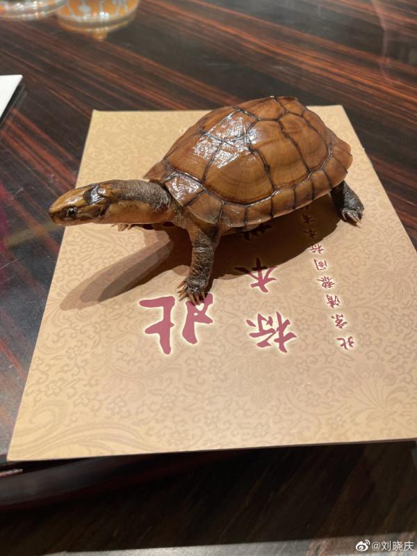 劉曉慶曬照慶69歲生日 頭戴生日帽笑容滿面心情好