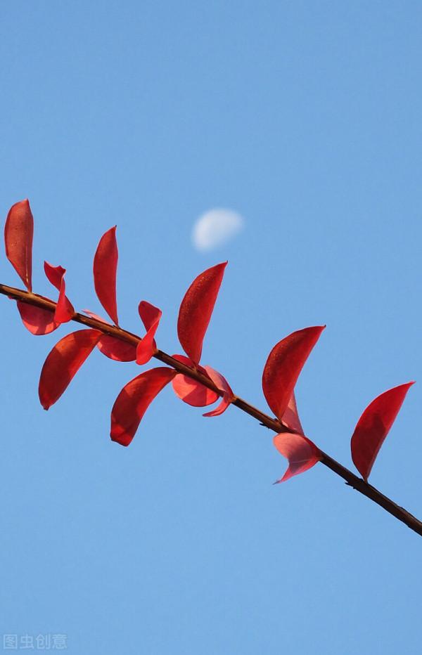 雅稱、代稱、它稱、別稱彙總(七) 雅稱、代稱、它稱、別稱彙總(七)