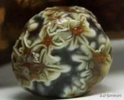 奇石盛開的花朵鑑賞