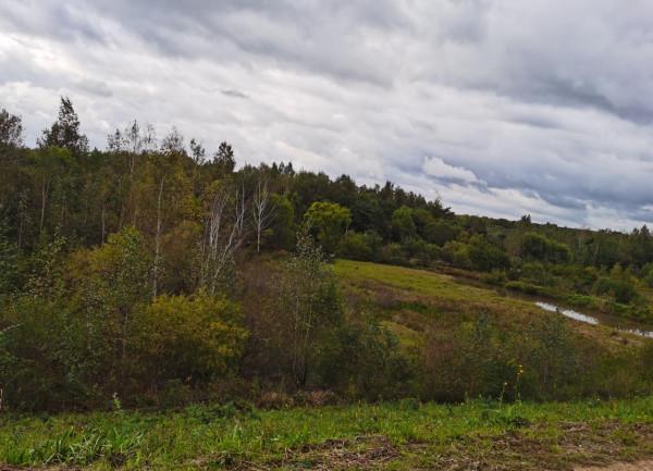 我本來想著搶在洪峰前釣釣魚，沒成想差點沒走出來……
