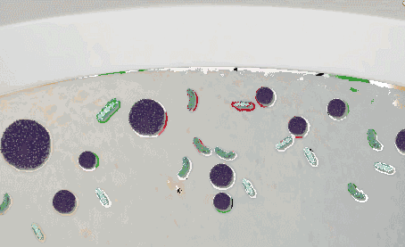 參觀了無數個“家居翻車”現場,我窺見了中國家庭的通病 參觀了無數個“家居翻車”現場,我窺見了中國家庭的通病