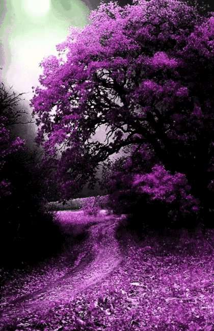 分享 世界之美 人間仙境 美呆啦