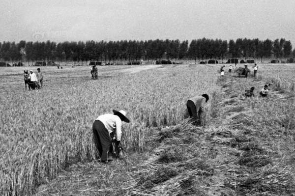 1989年,丈夫遇害,女老闆窮盡家產追兇,抓到兇手後家產卻過百萬 1989年,丈夫遇害,女老闆窮盡家產追兇,抓到兇手後家產卻過百萬