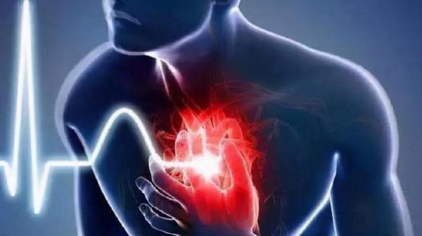 經常吃羊肉到底是養生還是傷血管？一文跟你說明白