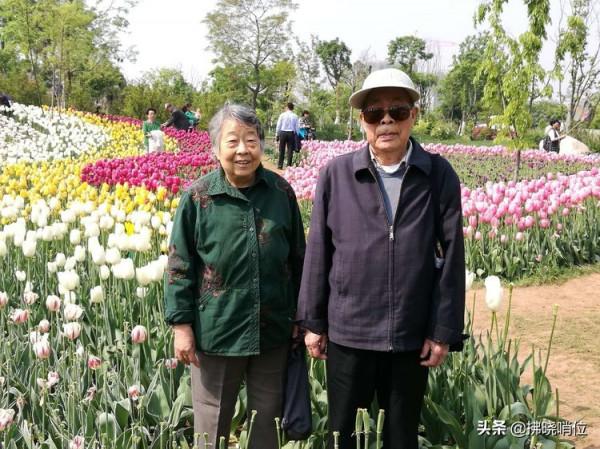 老兵的榮譽——我的爸爸左成芝軍旅印記