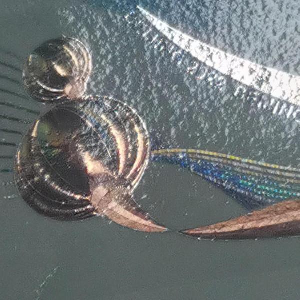 冬奧紀念鈔細節