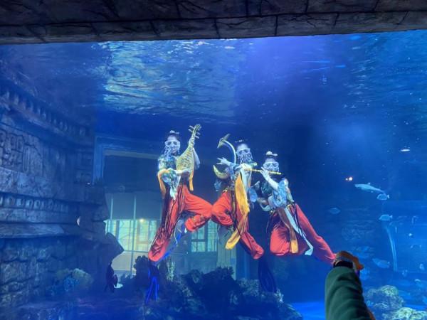 寧夏幻太奇海洋公園——海洋民俗·尋年味·賀新春
