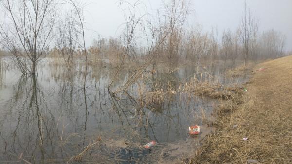 節後首釣喜獲大板鯽，高興之餘有點遺憾