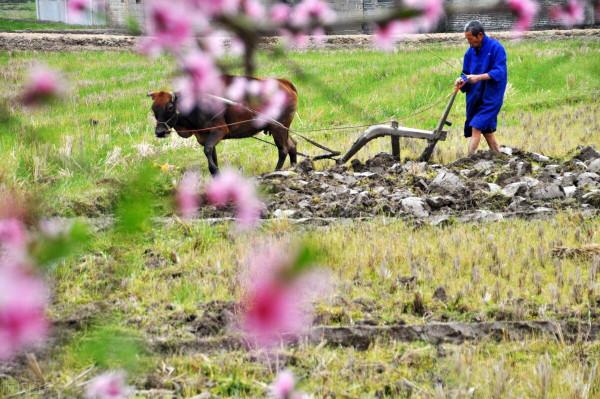 2022年啥時候立春?“春打五九尾”還是“春打六九頭”?春天冷嗎 2022年啥時候立春?“春打五九尾”還是“春打六九頭”?春天冷嗎