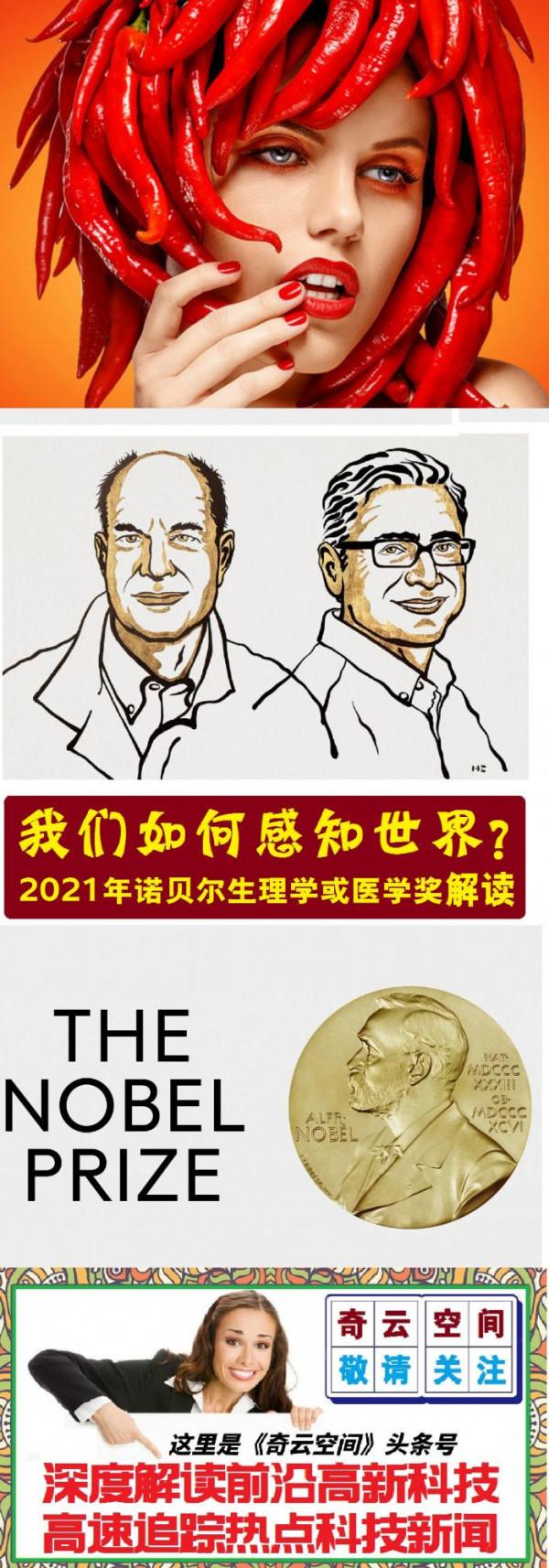 我們如何感知世界？——2021年諾貝爾生理學或醫學獎解讀（3）