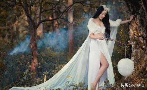 聊齋:胡四姐 聊齋:胡四姐